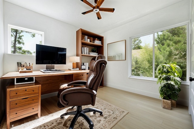 home office featuring light hardwood / wood-style floors, plenty of natural light, and ceiling fan