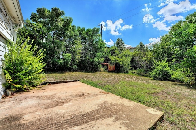 view of yard featuring a patio area