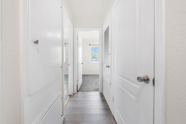 hallway featuring dark wood-type flooring