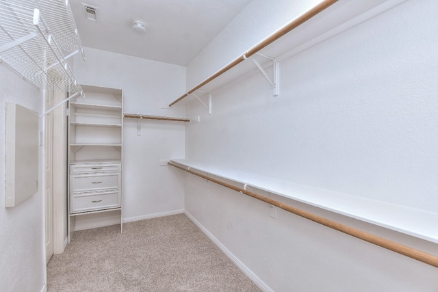 spacious closet featuring light colored carpet