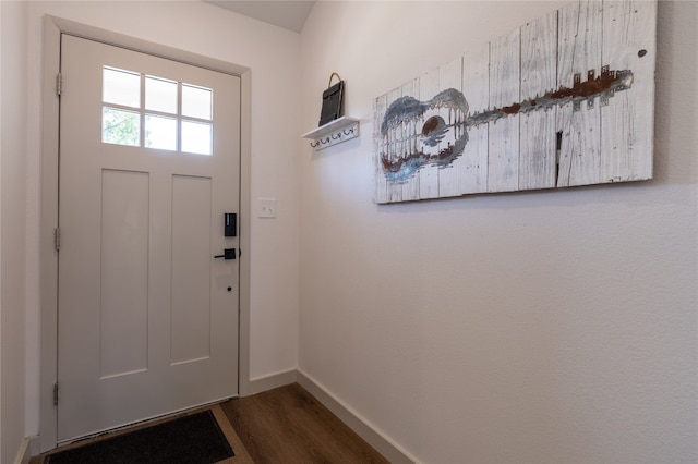 entryway featuring dark wood-type flooring