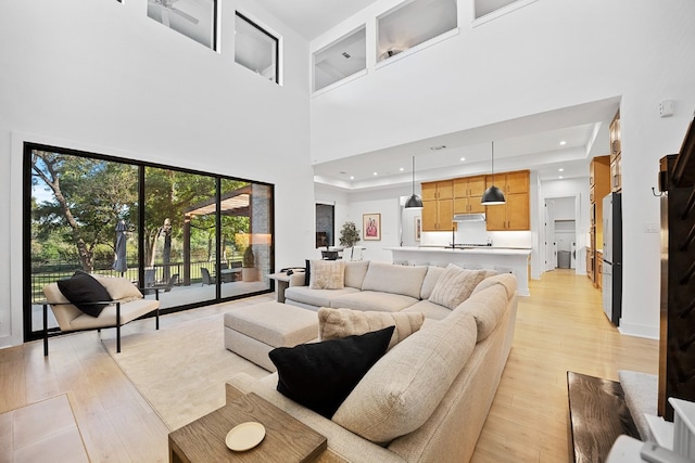 living room featuring light hardwood / wood-style flooring and a towering ceiling