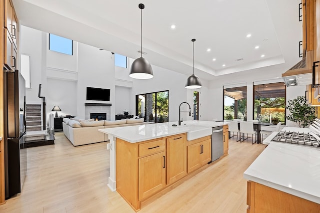 kitchen with sink, stainless steel appliances, light stone counters, light hardwood / wood-style flooring, and a kitchen island with sink