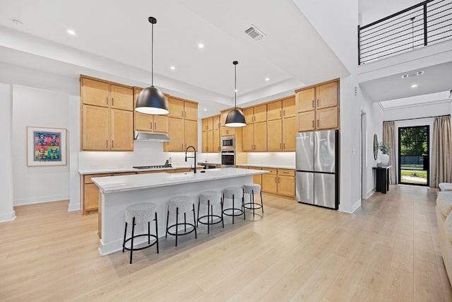 kitchen featuring sink, hanging light fixtures, an island with sink, light hardwood / wood-style floors, and stainless steel appliances