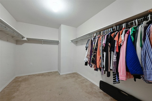 walk in closet with light colored carpet