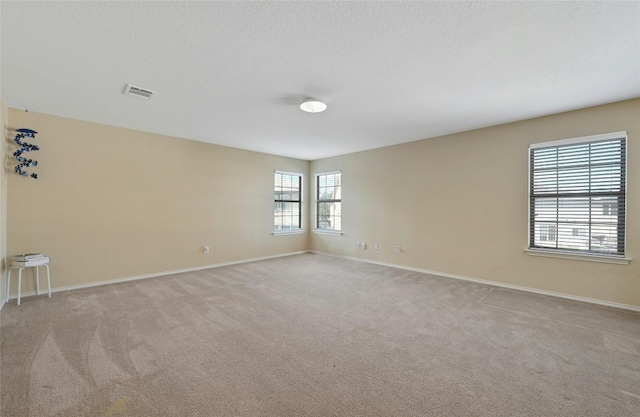 unfurnished room featuring a textured ceiling, light colored carpet, and plenty of natural light