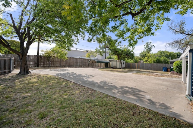 view of yard featuring a patio and a storage unit