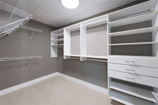 spacious closet featuring carpet floors