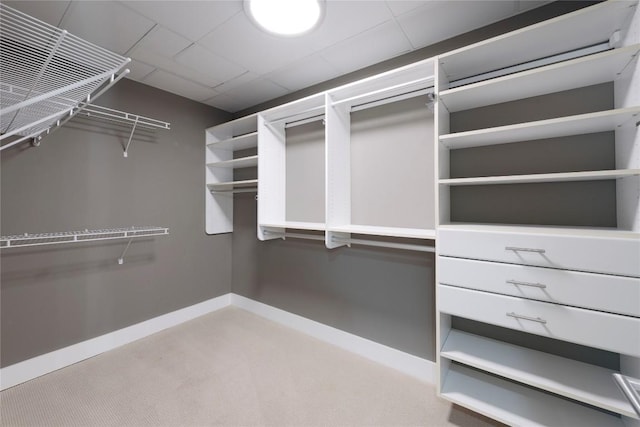 walk in closet with carpet