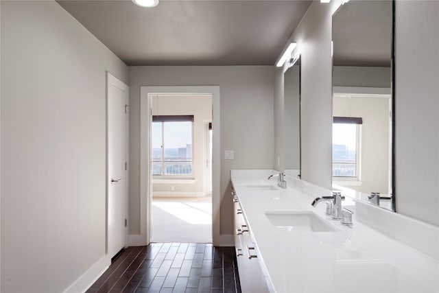 bathroom featuring vanity, wood-type flooring, and a healthy amount of sunlight