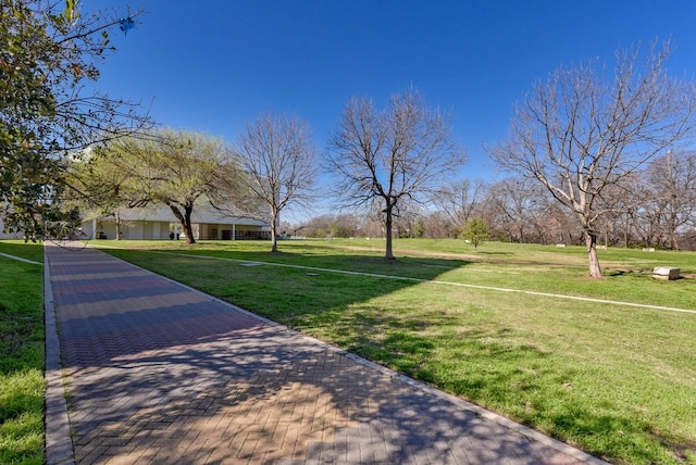 view of home's community with a yard