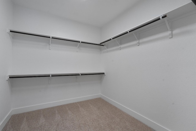 spacious closet with carpet