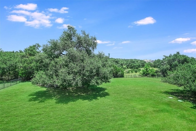 8309 Verde Mesa Cv, Austin, TX 78738 - view of yard