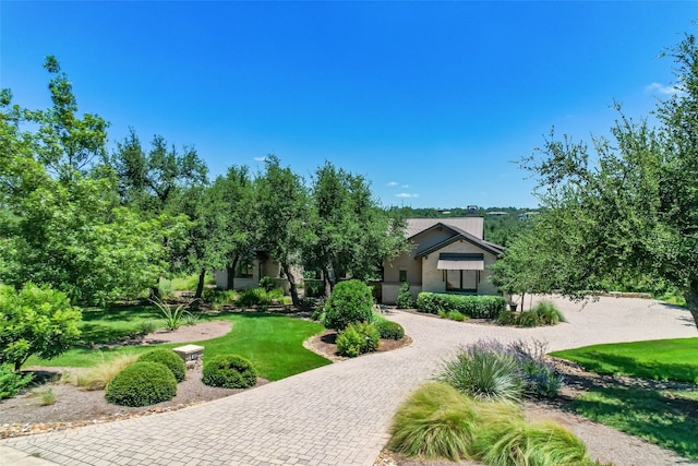 surrounding community with a yard and decorative driveway