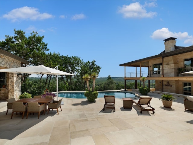 view of swimming pool with a patio