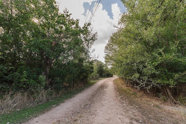 258 Riverwood Dr, Bastrop, TX 78602 - photo 40