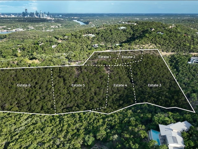 2 Martelli Ln, Austin, TX 78746 - photo 6