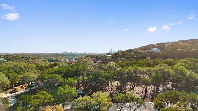 2 Martelli Ln, Austin, TX 78746 - photo 10