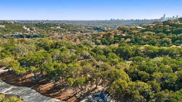 2 Martelli Ln, Austin, TX 78746 - photo 12