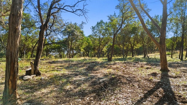 2 Martelli Ln, Austin, TX 78746 - photo 13