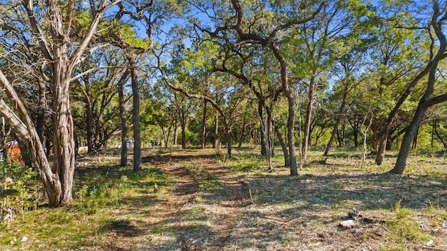 2 Martelli Ln, Austin, TX 78746 - photo 14