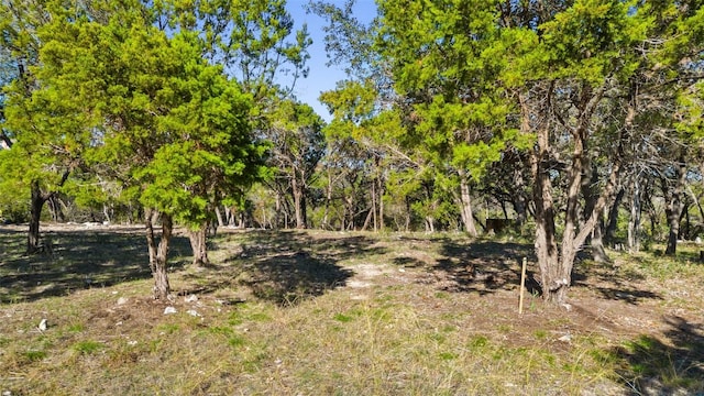 2 Martelli Ln, Austin, TX 78746 - photo 15
