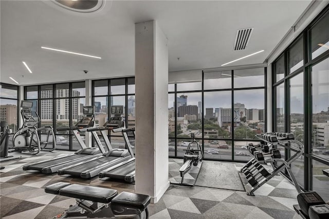 exercise room featuring carpet flooring, floor to ceiling windows, and plenty of natural light