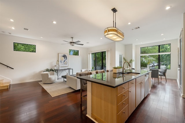 kitchen with a healthy amount of sunlight, an island with sink, dark hardwood / wood-style floors, and sink