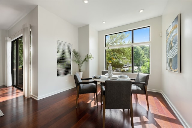 dining room featuring dark wood-type flooring