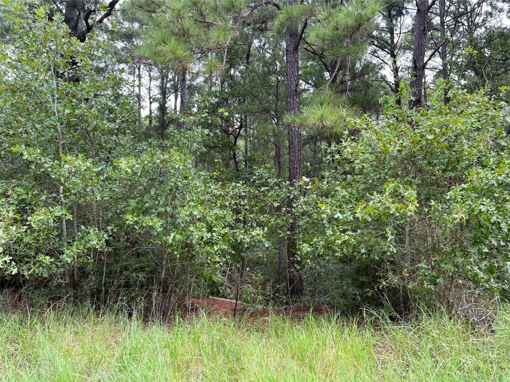 LOT47 Kamakoa Ln, Bastrop, TX 78602