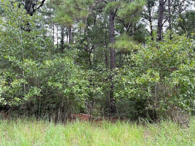 LOT47 Kamakoa Ln, Bastrop, TX 78602