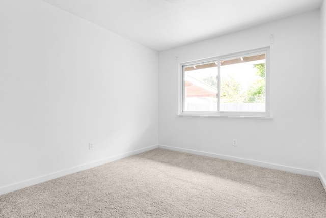 spare room with carpet flooring