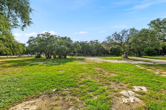 view of yard featuring a rural view