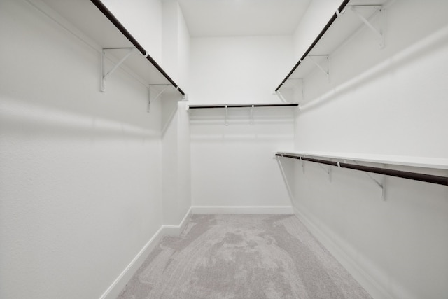 spacious closet with light colored carpet