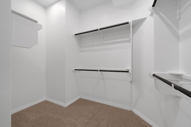 537 Raleigh Dr, Georgetown, TX 78633 - walk in closet with carpet floors