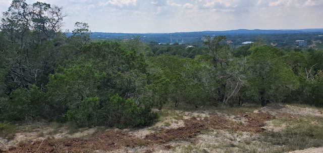 2409 Pace Bend Rd S, Spicewood TX, 78669 land for sale