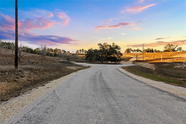 Listing photo 3 for 1069 E Purple Sage Trl, Blanco TX 78606