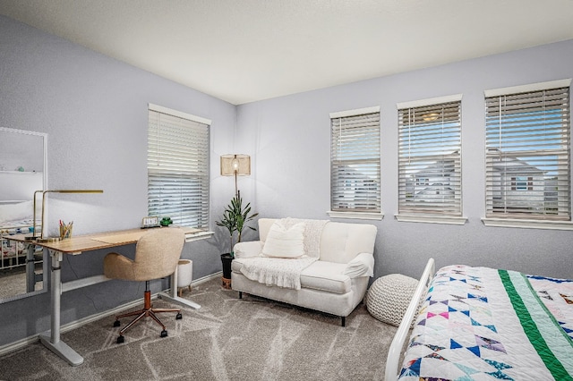 carpeted bedroom with multiple windows