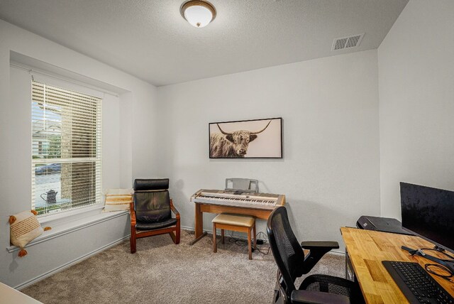 view of carpeted home office