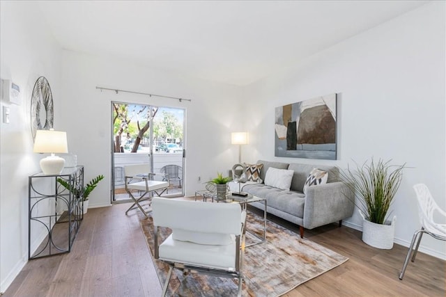 living room with hardwood / wood-style floors