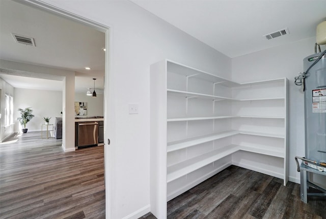 1109 Minerva St, Austin, TX 78753 - view of pantry