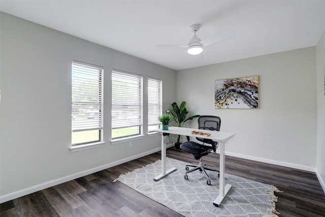 office featuring ceiling fan and dark hardwood / wood-style flooring