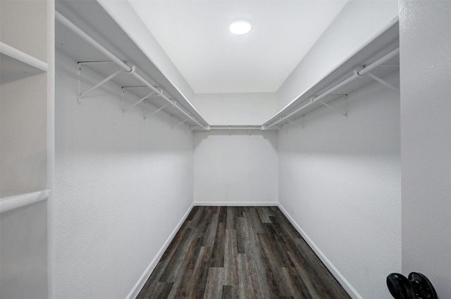 spacious closet with dark wood-type flooring