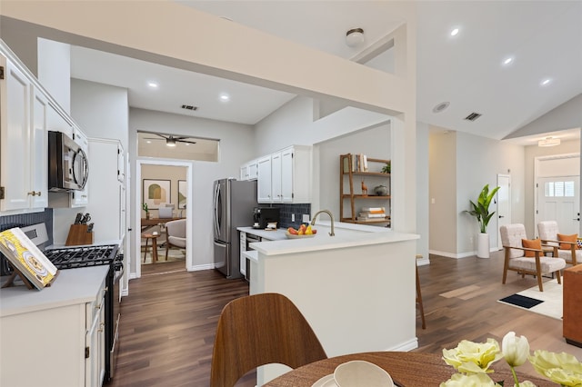 kitchen featuring appliances with stainless steel finishes, dark hardwood / wood-style floors, white cabinetry, and ceiling fan