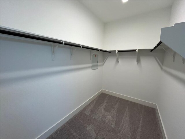 spacious closet with dark carpet