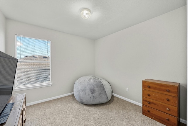 living area featuring light carpet