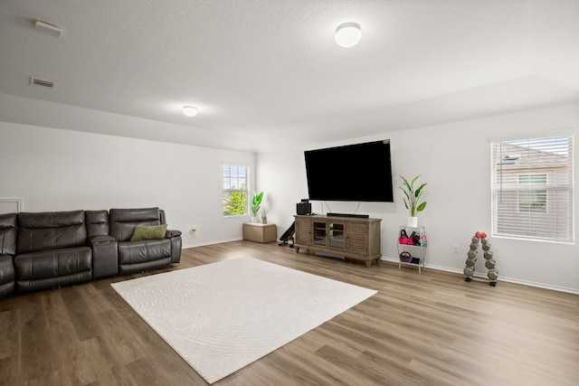 living room with a textured ceiling and wood-type flooring