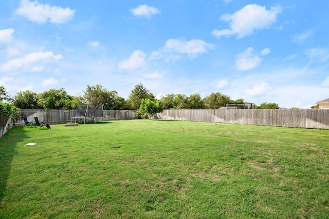 view of yard with a trampoline