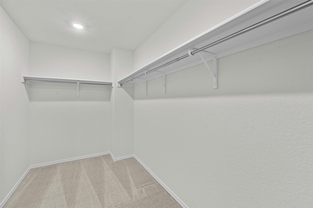 spacious closet featuring carpet flooring