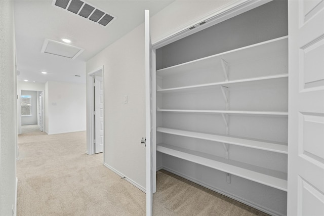 1721 Tin Can Trl, Georgetown, TX 78628 - view of closet